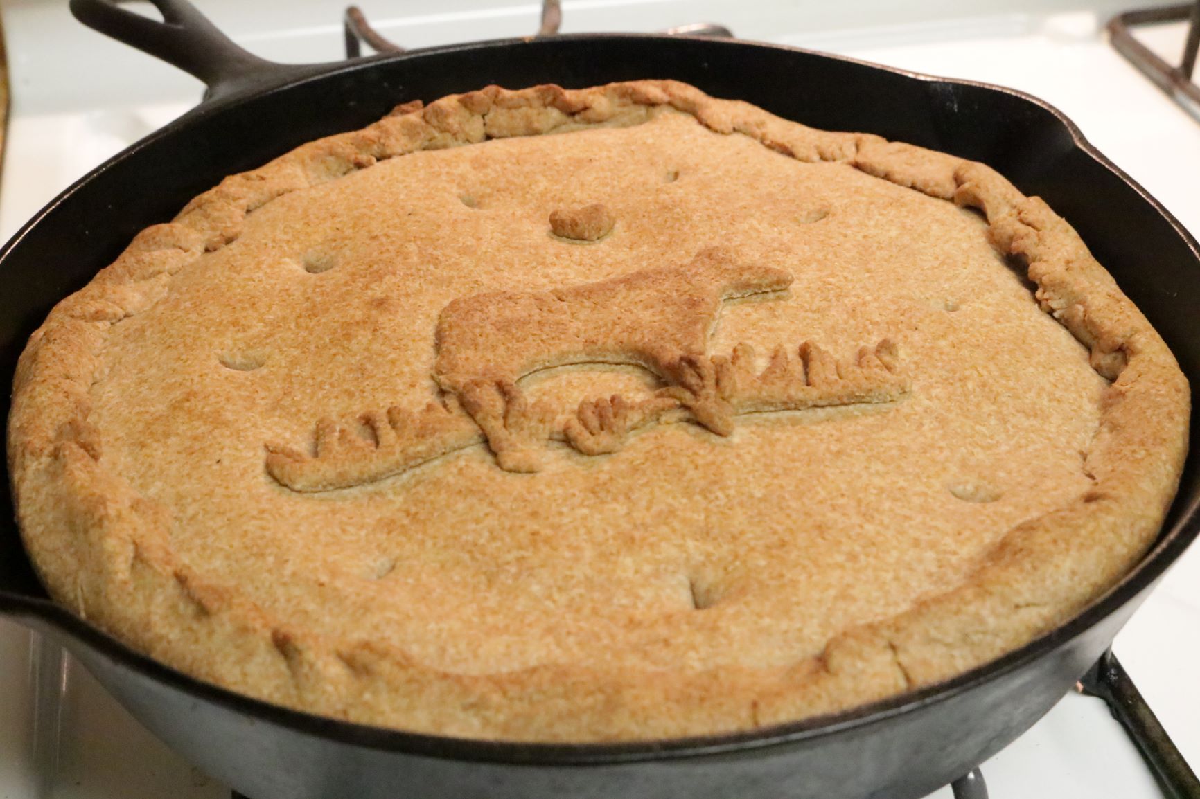 skillet-pork-pot-pie-forestfrogfarms